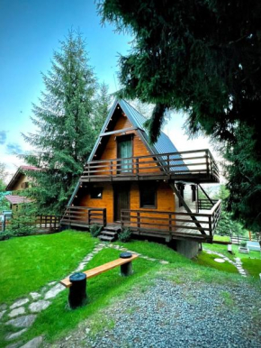 Chalet A Baisoara - Cabana A-Frame la munte